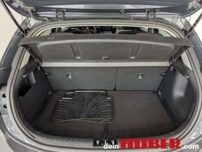 KIA Rio Vorführwagen KIA Rio Vorführwagen