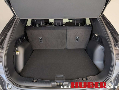 Ford Kuga Neuwagen Ford Kuga Neuwagen