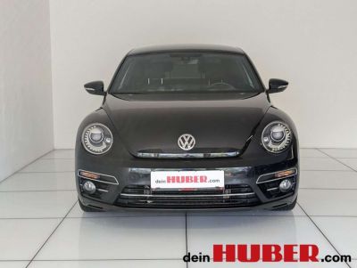 VW Beetle Gebrauchtwagen VW Beetle Gebrauchtwagen