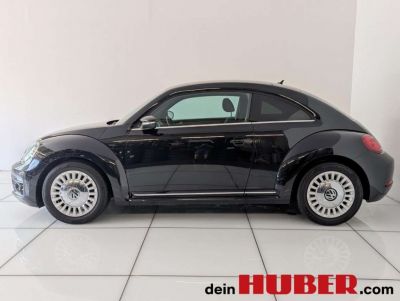 VW Beetle Gebrauchtwagen VW Beetle Gebrauchtwagen