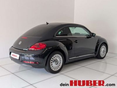 VW Beetle Gebrauchtwagen VW Beetle Gebrauchtwagen