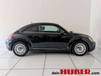 VW Beetle Gebrauchtwagen VW Beetle Gebrauchtwagen