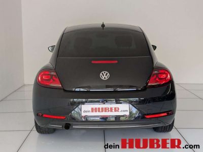 VW Beetle Gebrauchtwagen VW Beetle Gebrauchtwagen