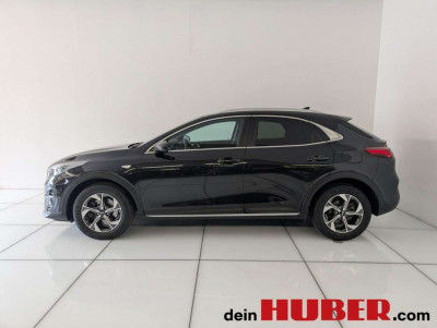 KIA XCeed Gebrauchtwagen