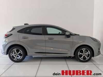 Ford Puma Vorführwagen Ford Puma Vorführwagen