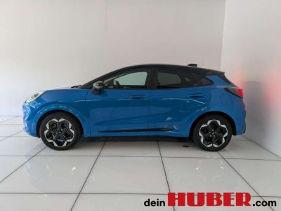 Ford Puma Neuwagen Ford Puma Neuwagen