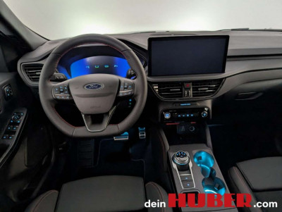 Ford Kuga Vorführwagen