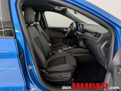 Ford Kuga Vorführwagen