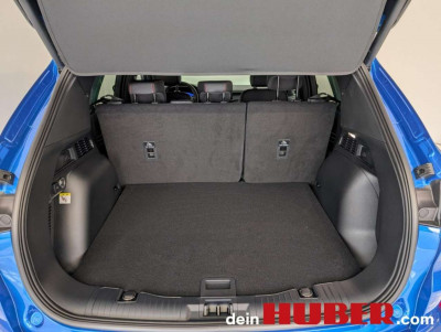 Ford Kuga Vorführwagen