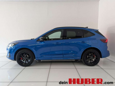 Ford Kuga Vorführwagen