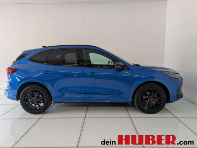 Ford Kuga Vorführwagen