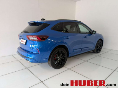 Ford Kuga Vorführwagen