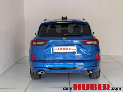 Ford Kuga Vorführwagen