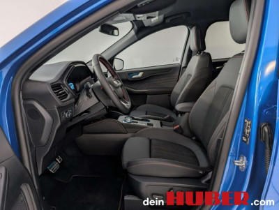 Ford Kuga Vorführwagen