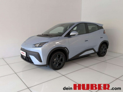 BYD Dolphin Surf Neuwagen