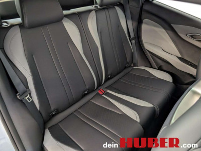 BYD Dolphin Surf Neuwagen