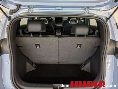 BYD Dolphin Surf Neuwagen