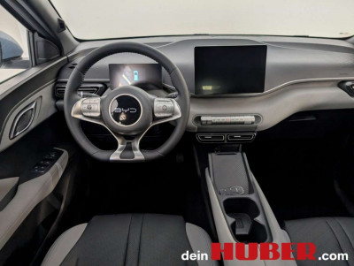 BYD Dolphin Surf Neuwagen