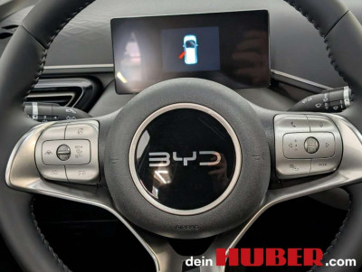 BYD Dolphin Surf Neuwagen