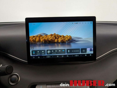 BYD Dolphin Surf Neuwagen