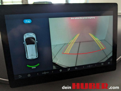 BYD Dolphin Surf Neuwagen