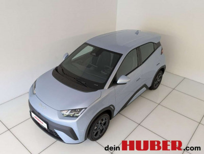 BYD Dolphin Surf Neuwagen