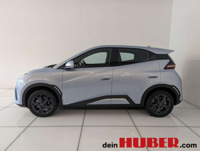 BYD Dolphin Surf Neuwagen