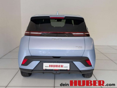 BYD Dolphin Surf Neuwagen