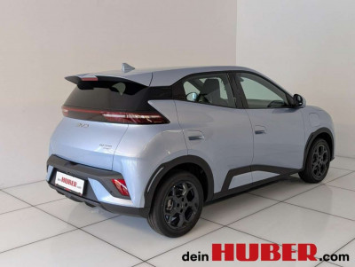 BYD Dolphin Surf Neuwagen