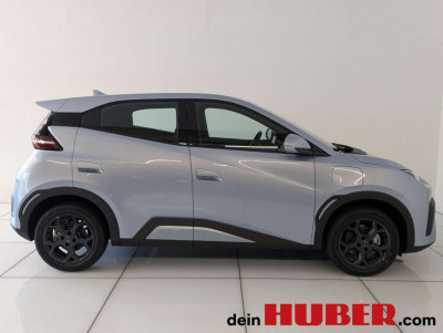 BYD Dolphin Surf Neuwagen