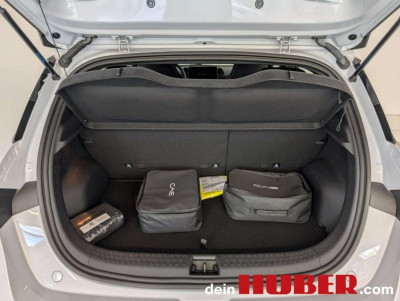 BYD Dolphin Neuwagen