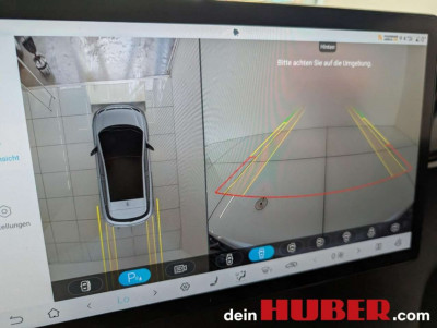 BYD Dolphin Neuwagen