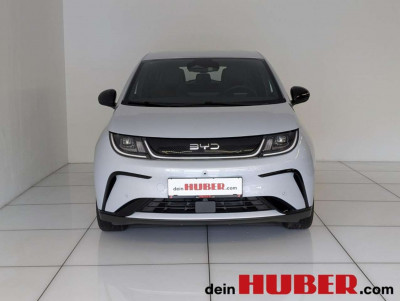 BYD Dolphin Neuwagen