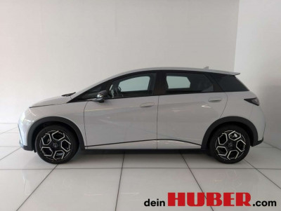 BYD Dolphin Neuwagen