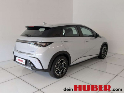 BYD Dolphin Neuwagen