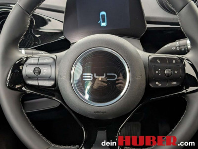 BYD Dolphin Neuwagen