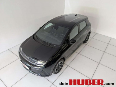 BYD Dolphin Neuwagen