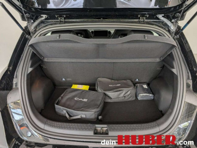 BYD Dolphin Neuwagen