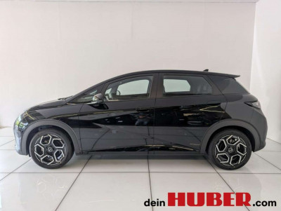 BYD Dolphin Neuwagen
