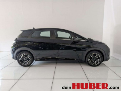 BYD Dolphin Neuwagen