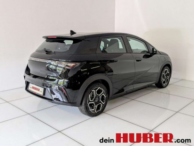 BYD Dolphin Neuwagen