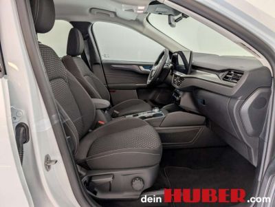 Ford Kuga Neuwagen Ford Kuga Neuwagen