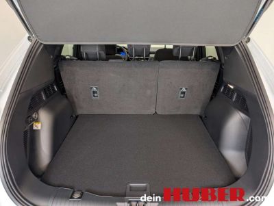 Ford Kuga Neuwagen Ford Kuga Neuwagen