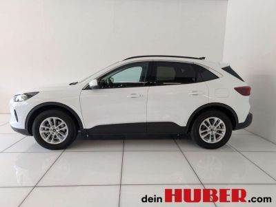 Ford Kuga Neuwagen Ford Kuga Neuwagen