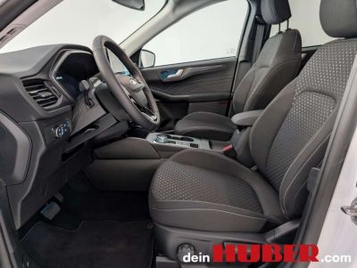 Ford Kuga Neuwagen Ford Kuga Neuwagen