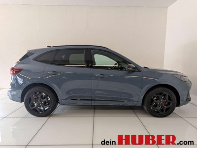 Ford Kuga Neuwagen Ford Kuga Neuwagen