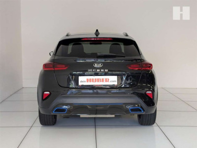 KIA XCeed Gebrauchtwagen KIA XCeed Gebrauchtwagen