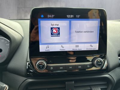 Ford EcoSport Gebrauchtwagen