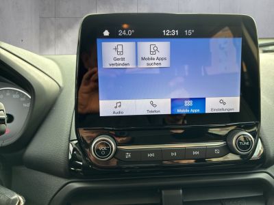 Ford EcoSport Gebrauchtwagen