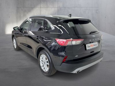 Ford Kuga Gebrauchtwagen Ford Kuga Gebrauchtwagen